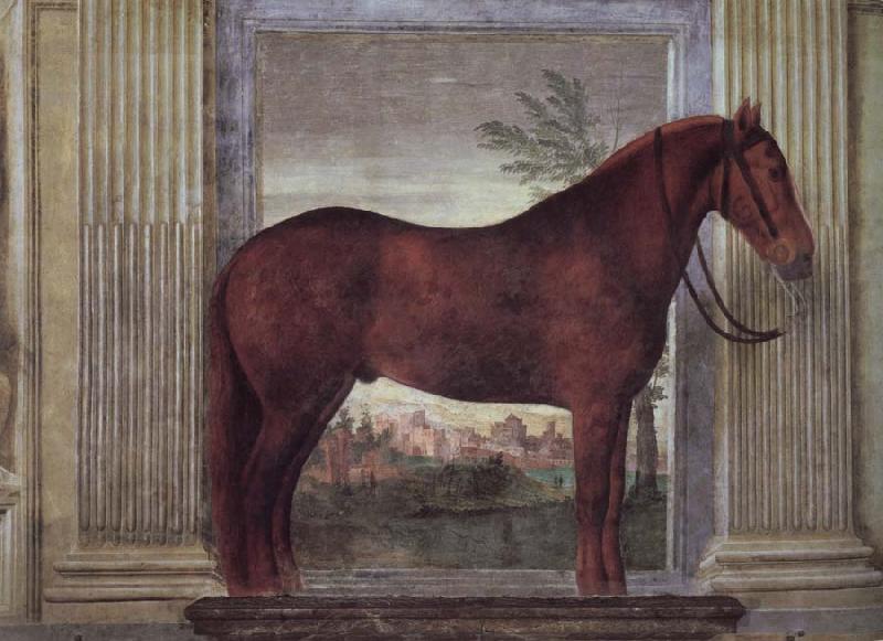 Giulio Romano Drawing-rooms dei Cavalli France oil painting art